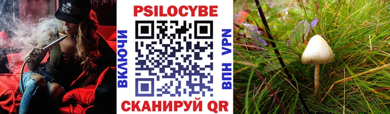Галлюциногенные грибы Cubensis  Новый Оскол 